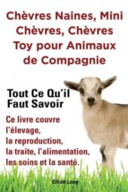 CHÈVRES NAINES MINI CHÈVRES CHÈVRES TOY POUR ANIMAUX DE COMPAGNIE