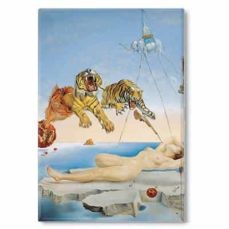 iman rectangular con bolsa - dali - sueño por el vuelo de una abeja-5038680010649