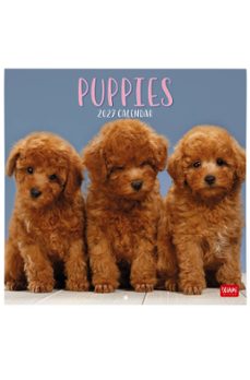 calendario 2027 pared 30x30 puppies legami-8052694129989