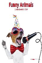 calendario funny animals 2019-9788448024697 calendario funny animals 2019 9788448024697