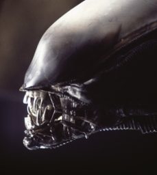 alien: el octavo pasajero-ian nathan-9788448005849
