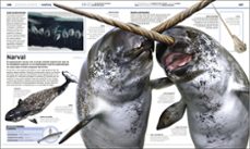 oceanos-9780241507728