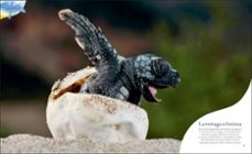 tesoros de la naturaleza-ben hoare-9780241583371