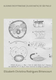 algumas enchytraeidae (oligochaeta) de so paulo (ebook)-elizabeth christina rodrigues bittencourt-3410001495809