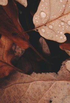 a formaço docente e a educaço inclusiva (ebook)-jermanio simão de jesus-3410007625309