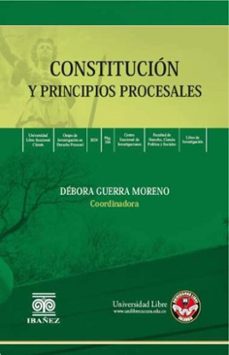constitucion y principios procesales (ebook)-débora guerra moreno-4099995590609