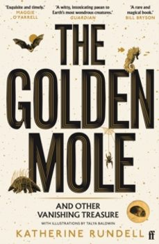 the golden mole-katherine rundell-9780571362509