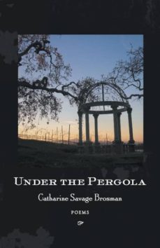 under the pergola-9780807138809