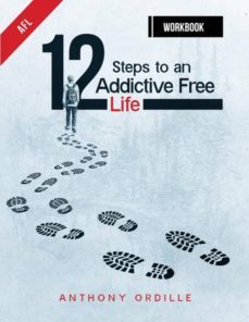 12 steps to an addictive free life workbook-9780999627709