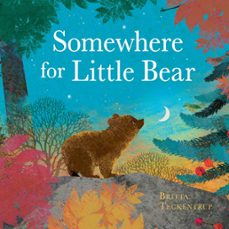 somewhere for little bear (ebook)-britta teckentrup-9781408359709
