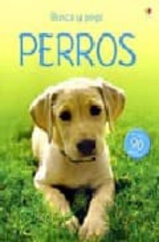 perros (libro de pegatinas)-9781409501909