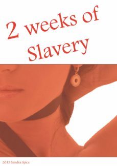 2 weeks of slavery (ebook)-sandra spice-9783955771409