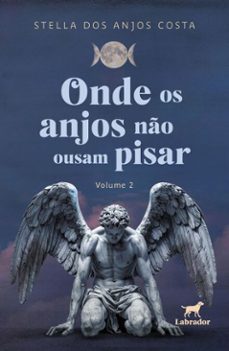onde os anjos no ousam pisar (volume 2) (ebook)-stella dos anjos costa-9786550441609