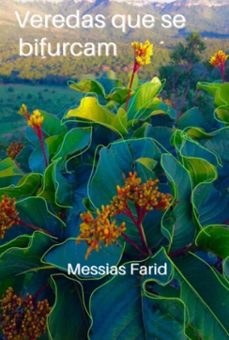 veredas que se bifurcam (ebook)-messias farid-9786553922709