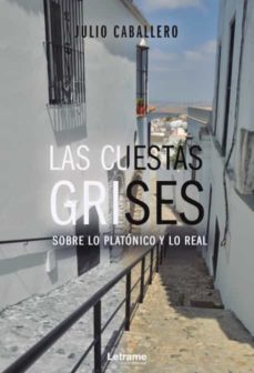 las cuestas grises-9788418307409
