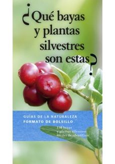 -eva maria dreyer-9788428217309