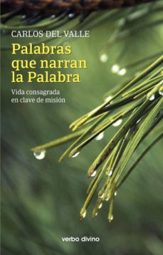 palabras que narran la palabra (ebook)-carlos del valle garcia-9788490738009
