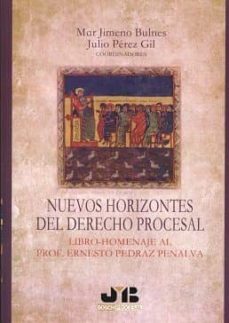 nuevos horizontes del derecho procesal-mar jimeno bulnes-julio perez gil-9788494514609