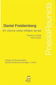 en vidrios rotos reflejos de sol-daniel freidemberg-9788498276909