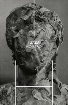 iliada (ebook)-9788550410609