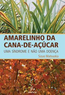 amarelinho da cana-de-açucar (ebook)-sizuo matsuoka-9788576005209
