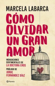 cómo olvidar un gran amor (ebook)-marcela labarca-9789504960409