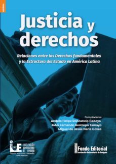 justicia y derechos (ebook)-andres felipe roncancio bedoya-john fernando restrepo tamayo-miguel de jesus neria govea-9789585260009