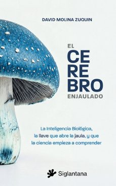 -david molina zuquin-9791399297409