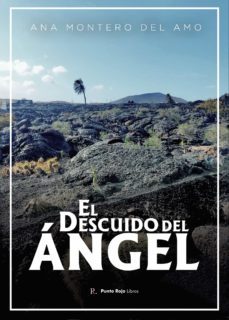 el descuido del angel (ebook)-9798364238009