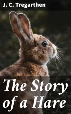 the story of a hare (ebook)-4064066138219