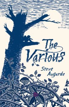 the various (ebook)-steve augarde-9781407077819