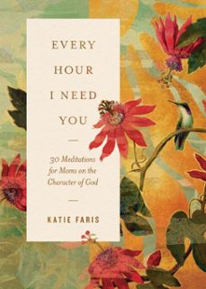 every hour i need you (ebook)-katie faris-9781433599019