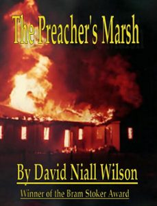 -david niall wilson-9781452317519
