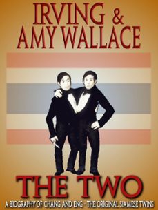 -amy wallace-9781452476919