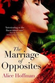 the marriage of opposites-alice hoffman-9781471112119