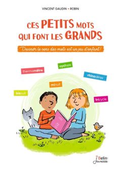 ces petits mots qui font les grands (ebook)-vincent gaudin-9782410025019