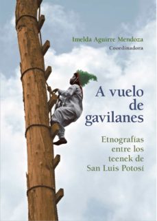 a vuelo de gavilanes (ebook)-9786075396019