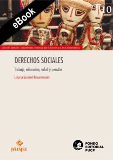 derechos sociales (ebook)-liliana salome resurreccion-9786123252519