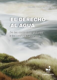 el derecho al agua. (ebook)-cecilia orozco cañas-9786287523319