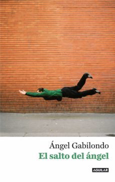 el salto del angel. palabras para comprendernos (ebook)-angel gabilondo-9788403013919