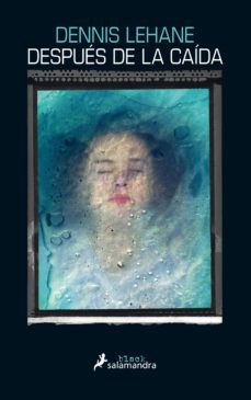 despues de la caida (ebook)-9788417384319