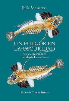 un fulgor en la oscuridad-julia schnetzer-9788419553119