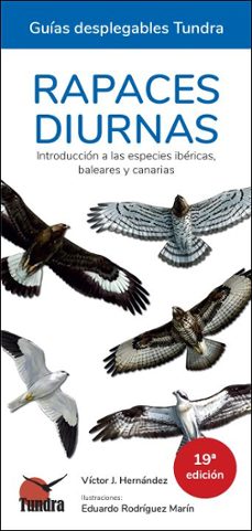 rapaces diurnas 19º edicion - guias desplegables tundra-victor j. hernandez-9788419624819