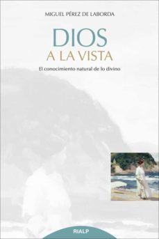 dios a la vista (ebook)-9788432145919
