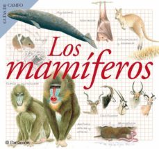 los mamiferos (ebook)-maria angels julivert-9788434299719