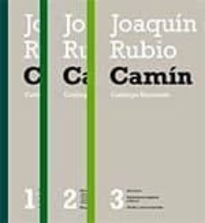 joaquin rubio camin (3 tomos) catalogo razonado-mª soledad alvarez martinez-9788460867319