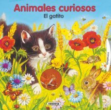 el gatito (animales curiosos)-9788467700619