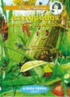artropodos: insectos e aracnidos-9788489138919
