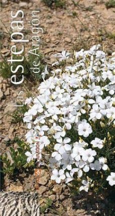 las estepas de aragon-maria blasco lazaro-9788496007819