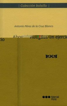 abogado en ejercicio-9788497686419